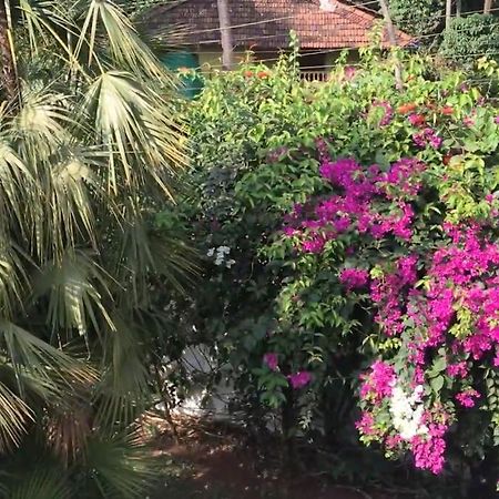 1 Bhk Luxury Beachside Homestay In South Goa Битълбатим Екстериор снимка