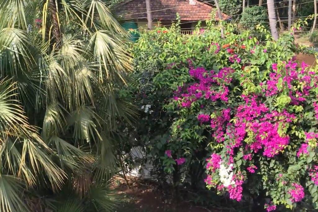 1 Bhk Luxury Beachside Homestay In South Goa Битълбатим Екстериор снимка